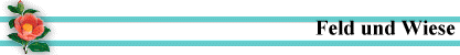 Feld und Wiese