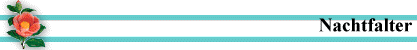 Nachtfalter