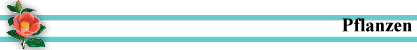 Pflanzen
