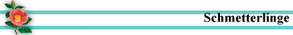 Schmetterlinge
