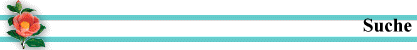 Suche