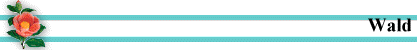 Wald