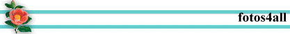 fotos4all