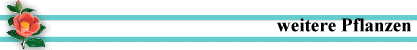 weitere Pflanzen