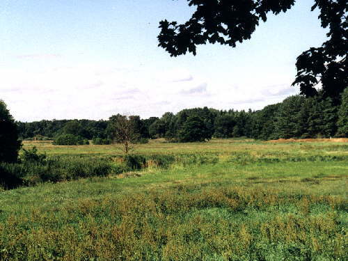 zur�ck zur Auswahl -Feld und Wiese-