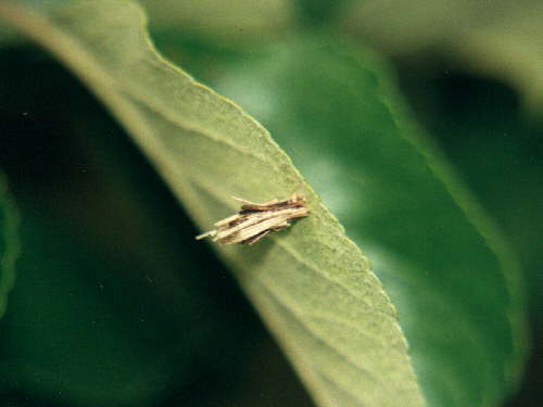 zur�ck zur Auswahl -Weitere Ordnungen-