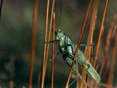 zur�ck zur Auswahl -Weitere Ordnungen-
