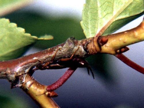 zur�ck zur Auswahl -Weitere Ordnungen-