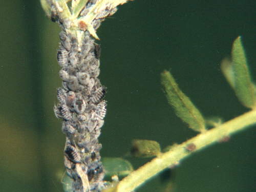 zur�ck zur Auswahl -Weitere Ordnungen-