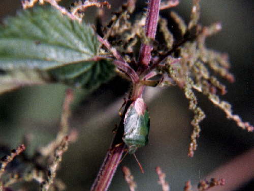 zur�ck zur Auswahl -Weitere Ordnungen-