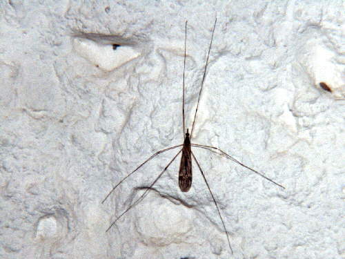 zur�ck zur Auswahl -Weitere Ordnungen-