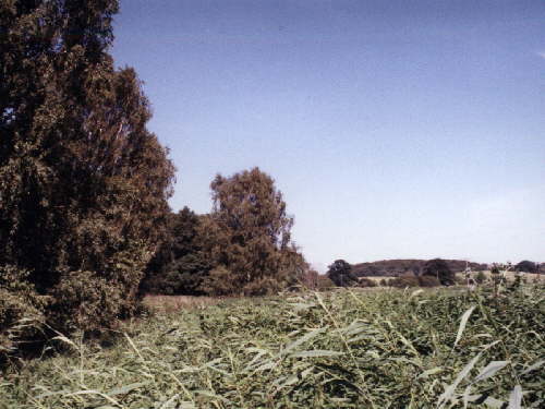 zur�ck zur Auswahl -Landschaften Wasser-