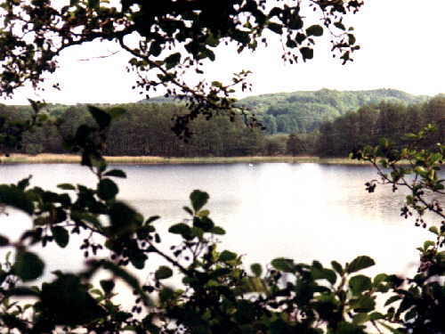 zur�ck zur Auswahl -Landschaften Wasser-