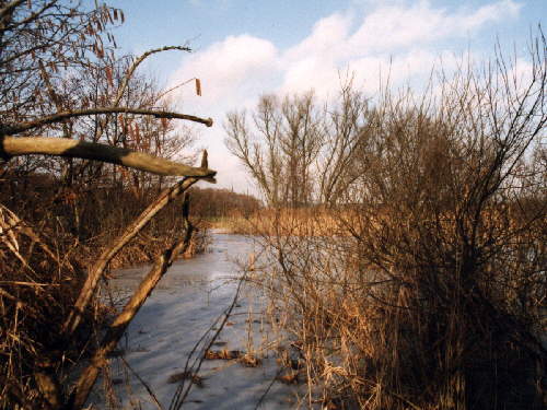 zur�ck zur Auswahl -Landschaften Wasser-