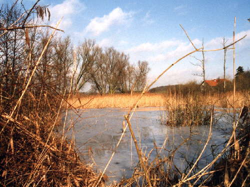 zur�ck zur Auswahl -Landschaften Wasser-