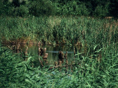zur�ck zur Auswahl -Landschaften Wasser-