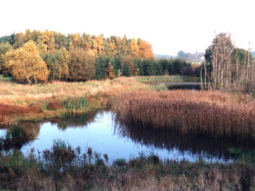 zur�ck zur Auswahl -Landschaften Wasser-